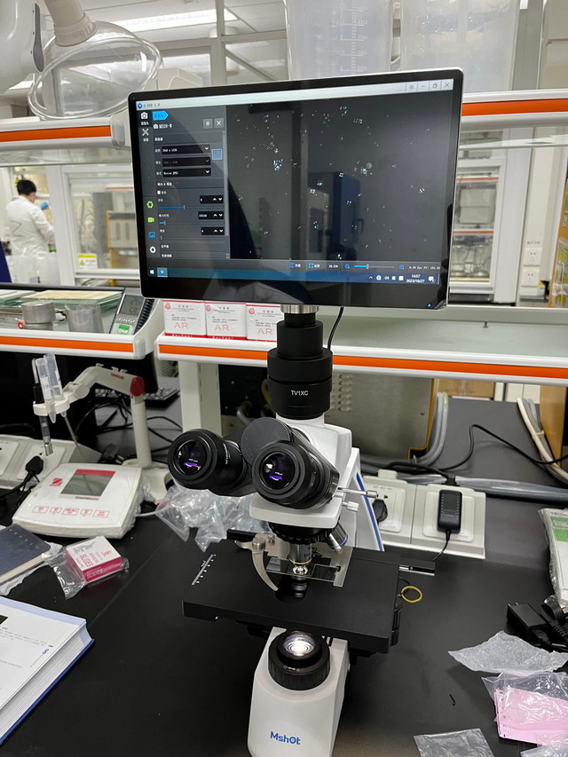 20偏光_三七粉（淀粉觀察）_ML31-P+MD28-W_202310_歐陸分析測(cè)試（中藥飲片成分檢測(cè)）_4.jpg