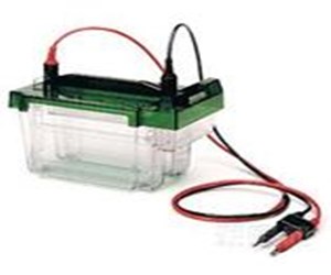 伯樂(lè)中型垂直電泳槽BIO-RAD Criterion Cell 165-6001