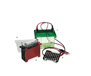 伯樂(lè)Mini Trans-Blot 轉(zhuǎn)印槽Biorad Mini Trans-Blot Cell 170-3930