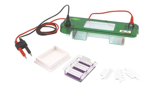伯樂(lè)BIO-RAD Criterion 電泳槽165-6019