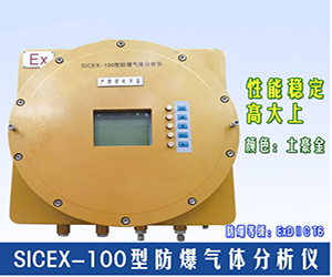 SICEX-100防爆型在線氣體分析儀（H2、CO、O2）