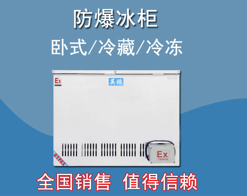 英鵬防爆臥式冰箱，存放油漆防爆冰箱BL-200