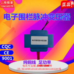 電子圍欄柵欄高壓脈沖變壓器環(huán)氧灌封雷達變換技術(shù)純銅足功率定制