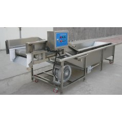 油菜氣泡清洗機(jī)，小白菜氣泡清洗機(jī)