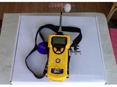 PGM-1880,充電型PGM-1880可燃?xì)怏w檢測儀