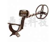 美國蓋瑞特（Garrett）AT-GOLD地下金屬探測(cè)器