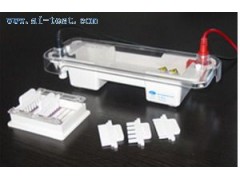 電泳槽報(bào)價(jià)/中國 水平電泳槽報(bào)價(jià) A131726