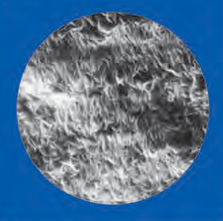頗爾PALL BSP0161 FluoroTrans&#174;PVDF轉移膜