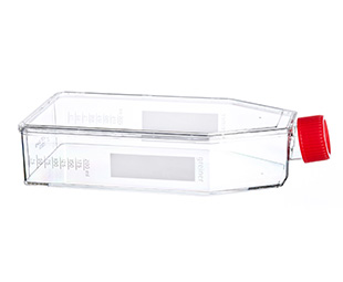 貼壁細(xì)胞培養(yǎng)瓶（TC處理，滅菌）661160 175cm&#178;，最大容積650ml（high）