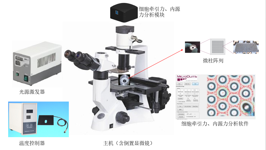 Labomed代理,LB702，+ 細(xì)胞牽引力顯微鏡 +cell mechanics analyze