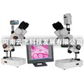 供應(yīng)云飛XTZ解剖鏡及成像設(shè)備，解剖鏡及成像設(shè)備廠家