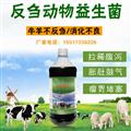 豆渣發(fā)酵劑發(fā)酵豆渣喂牛選農(nóng)富康微生物豆渣發(fā)酵劑
